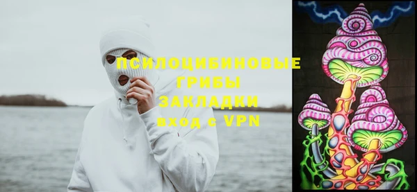 соль ск Алексин