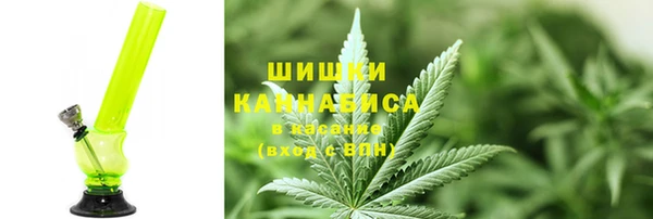 соль ск Алексин