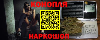 Альфа ПВП Малгобек