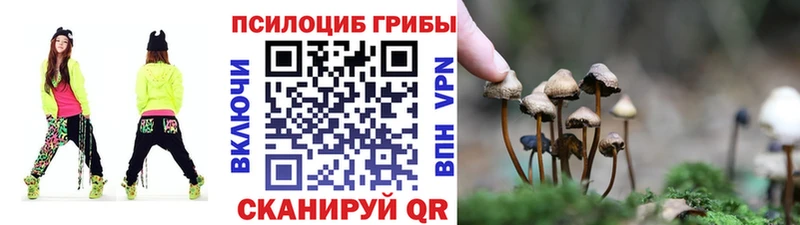 Галлюциногенные грибы Magic Shrooms  кракен сайт  Дзержинский 