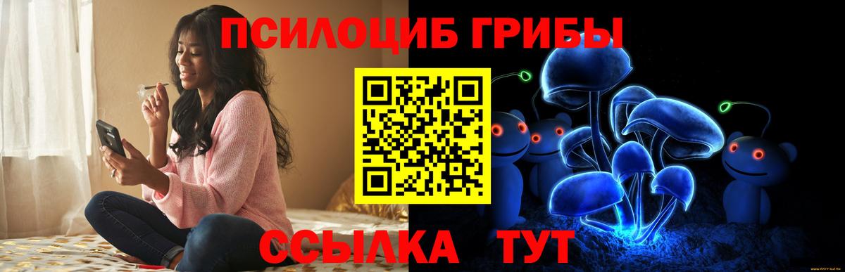 Псилоцибиновые грибы ЛСД  закладки  Псилоцибиновые грибы мицелий  Дзержинский  Вход с VPN 